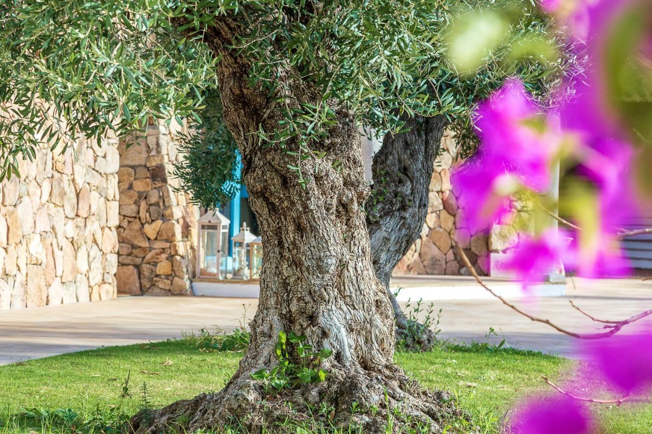Corte Bianca - Adults Only & Spa - Bovis Hotels Cardedu Esterno foto