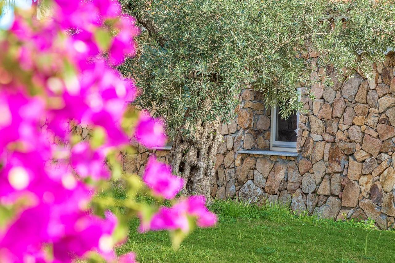 Corte Bianca - Adults Only & Spa - Bovis Hotels Cardedu Esterno foto